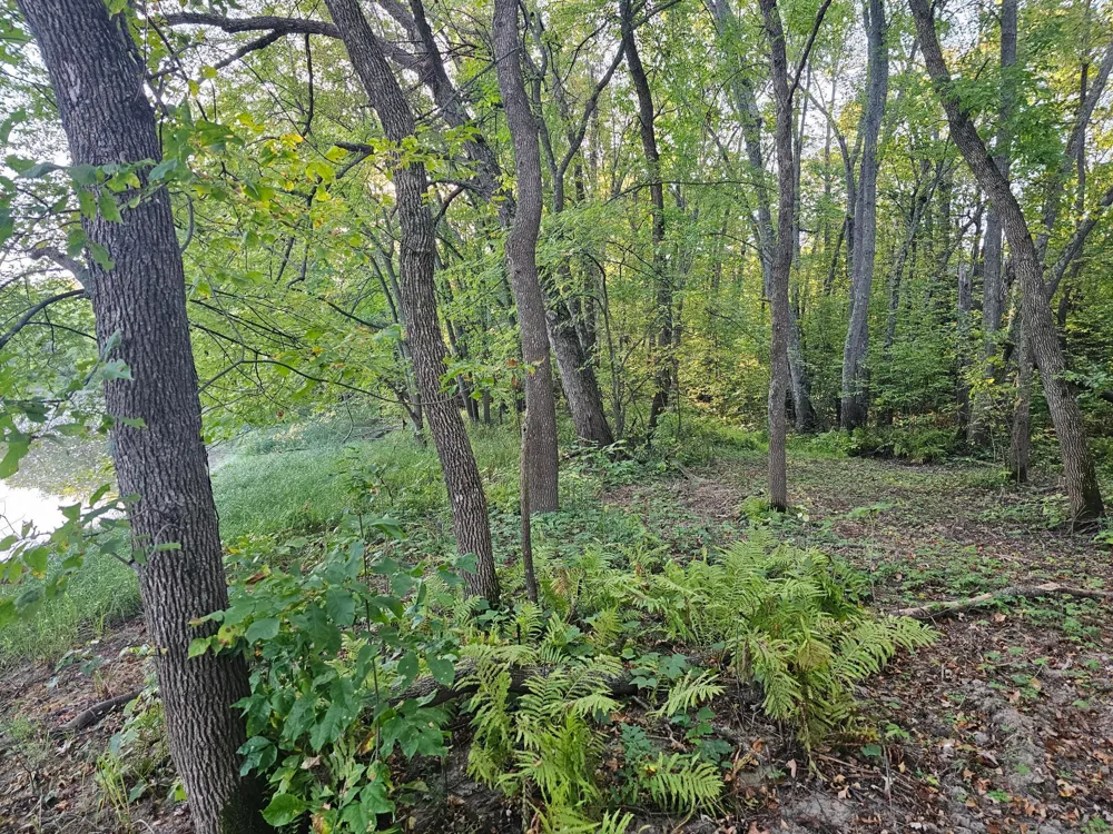 Lot 5 Blk 1, 5.4  Acres County Road 30 Crosby, MN 56441
