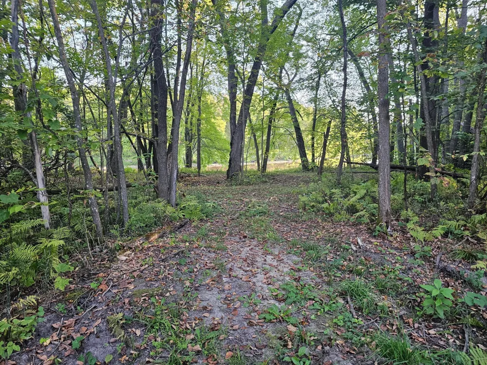 Lot 5 Blk 1, 5.4  Acres County Road 30 Crosby, MN 56441