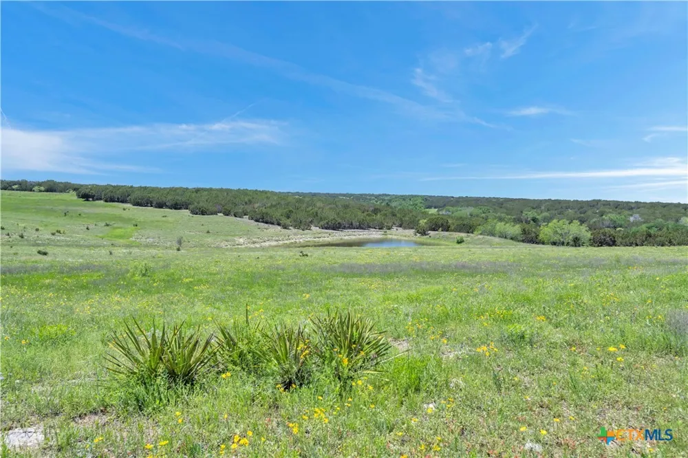 4 CR 207 Burnet, TX 78611