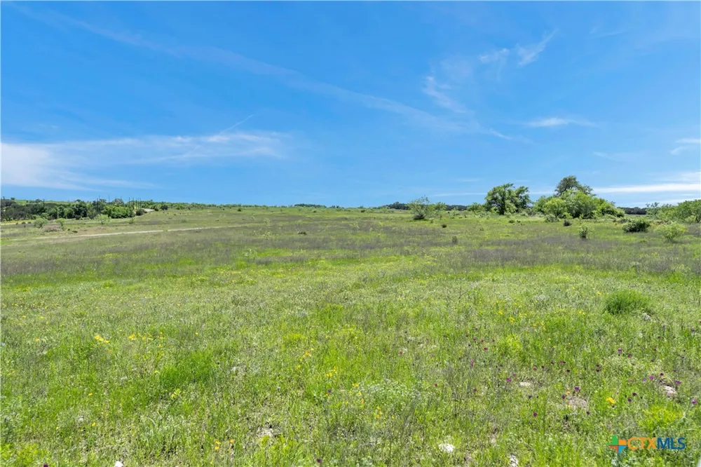 4 CR 207 Burnet, TX 78611