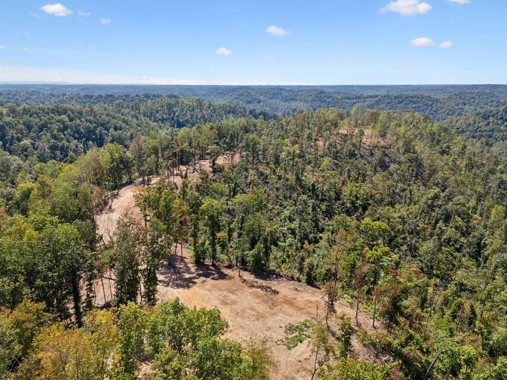 277 Davidson Chapel Ln Bloomington Springs, TN 38545