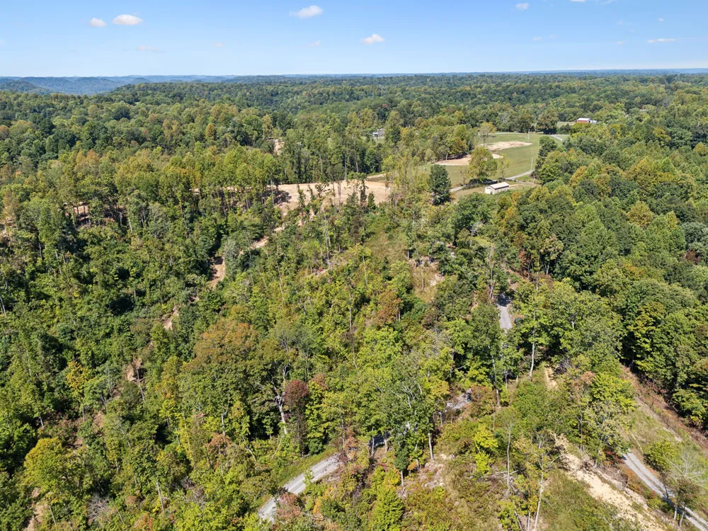 277 Davidson Chapel Ln Bloomington Springs, TN 38545