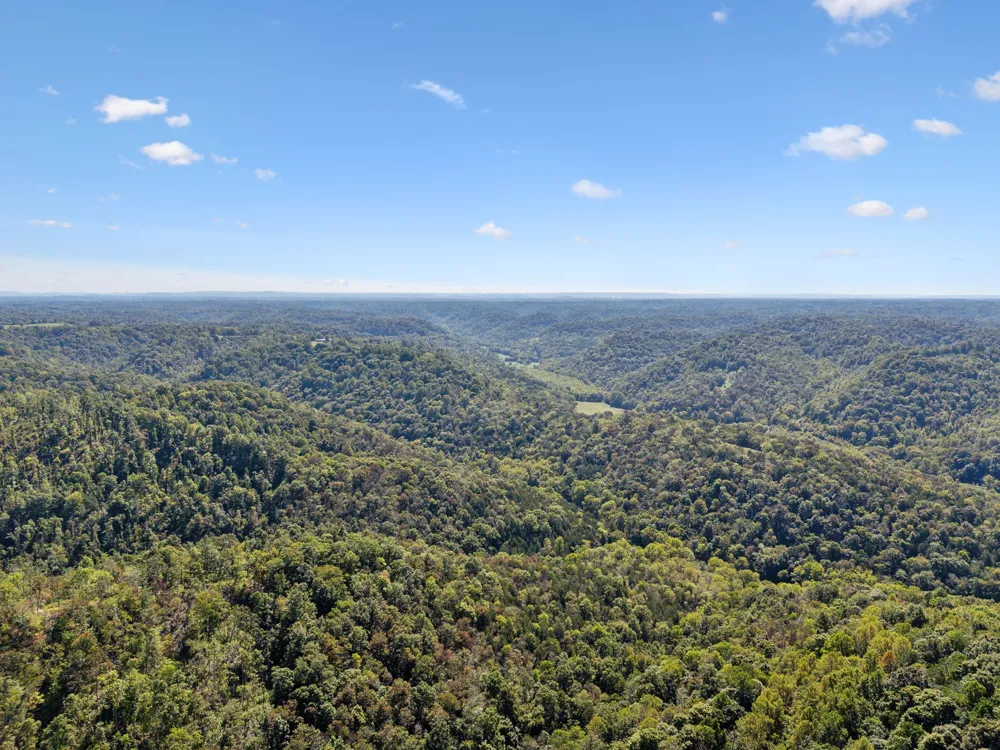 277 Davidson Chapel Ln Bloomington Springs, TN 38545