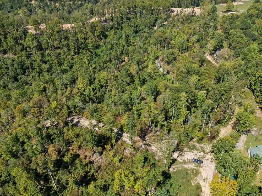 277 Davidson Chapel Ln Bloomington Springs, TN 38545