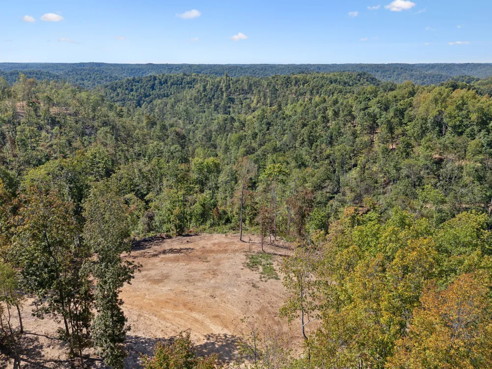 277 Davidson Chapel Ln Bloomington Springs, TN 38545