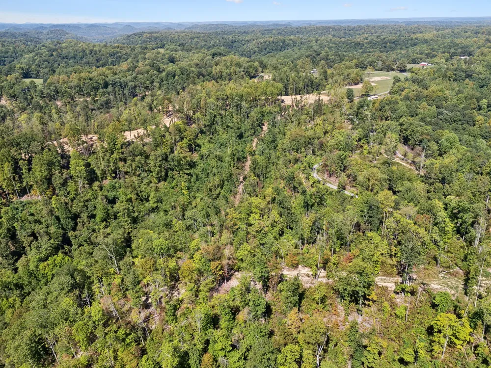 277 Davidson Chapel Ln Bloomington Springs, TN 38545