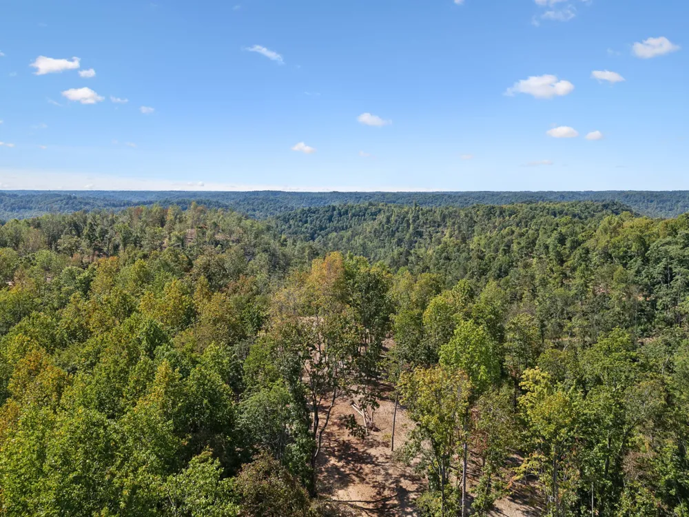 277 Davidson Chapel Ln Bloomington Springs, TN 38545