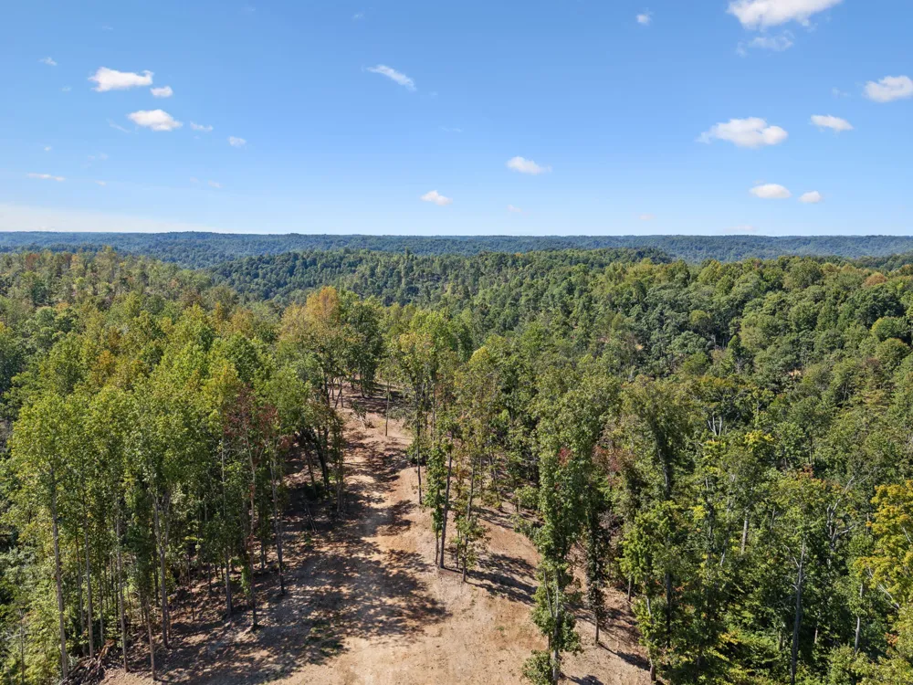 277 Davidson Chapel Ln Bloomington Springs, TN 38545