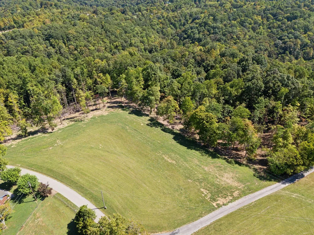 277 Davidson Chapel Ln Bloomington Springs, TN 38545