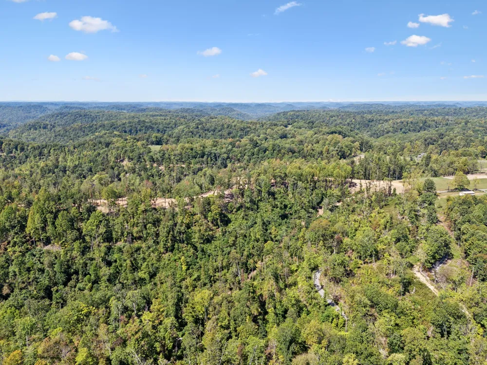 277 Davidson Chapel Ln Bloomington Springs, TN 38545