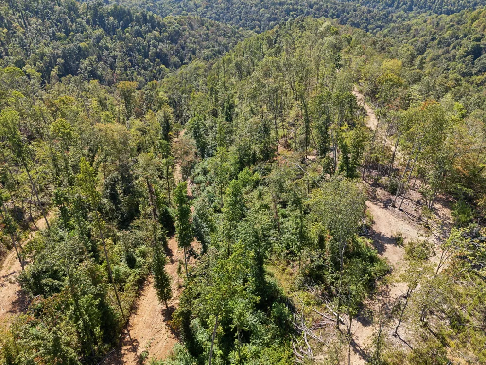 277 Davidson Chapel Ln Bloomington Springs, TN 38545