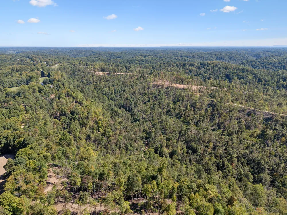 277 Davidson Chapel Ln Bloomington Springs, TN 38545