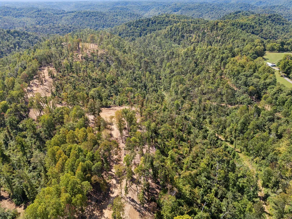 277 Davidson Chapel Ln Bloomington Springs, TN 38545