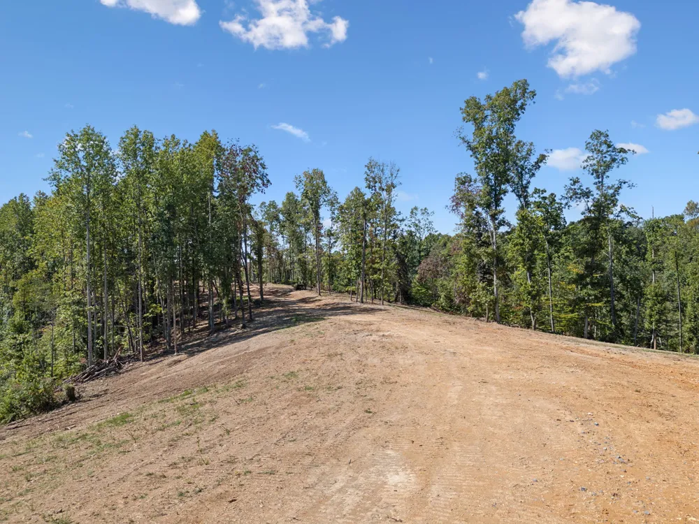 277 Davidson Chapel Ln Bloomington Springs, TN 38545