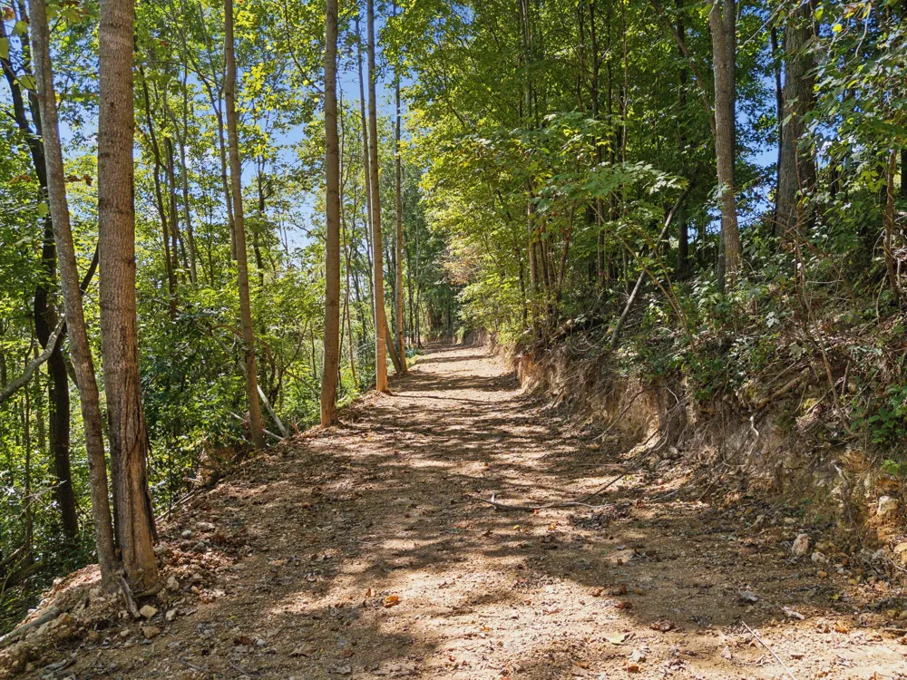 277 Davidson Chapel Ln Bloomington Springs, TN 38545