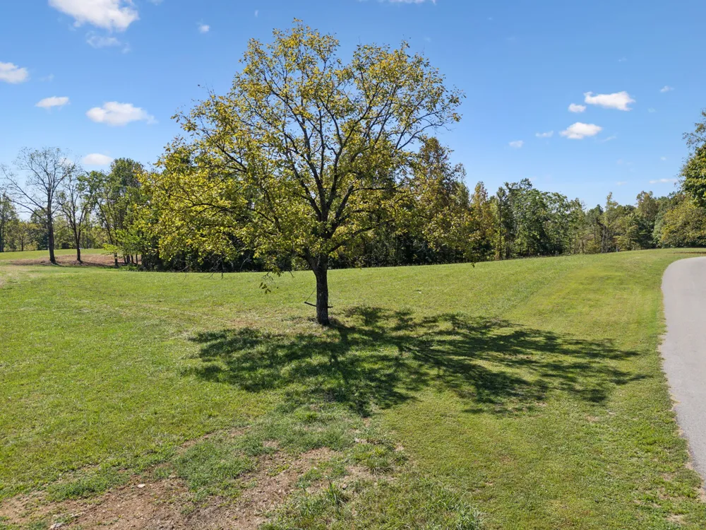 277 Davidson Chapel Ln Bloomington Springs, TN 38545