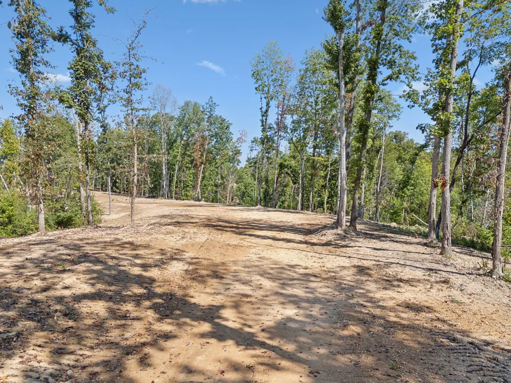 277 Davidson Chapel Ln Bloomington Springs, TN 38545