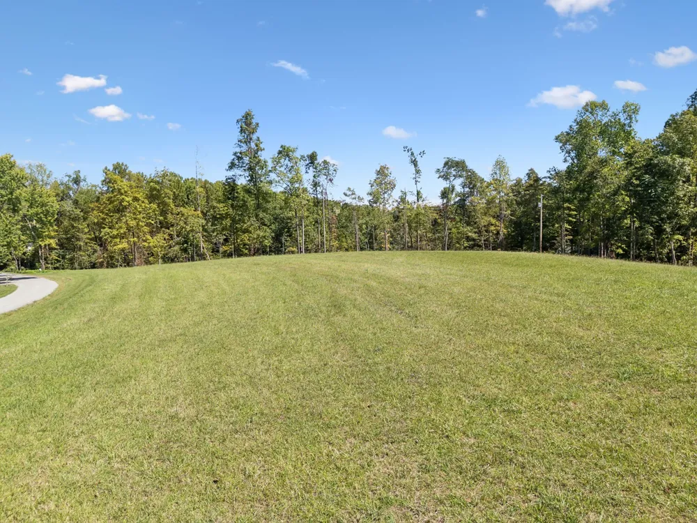 277 Davidson Chapel Ln Bloomington Springs, TN 38545