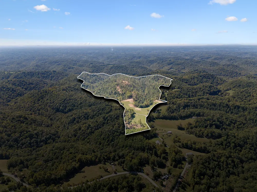 277 Davidson Chapel Ln Bloomington Springs, TN 38545