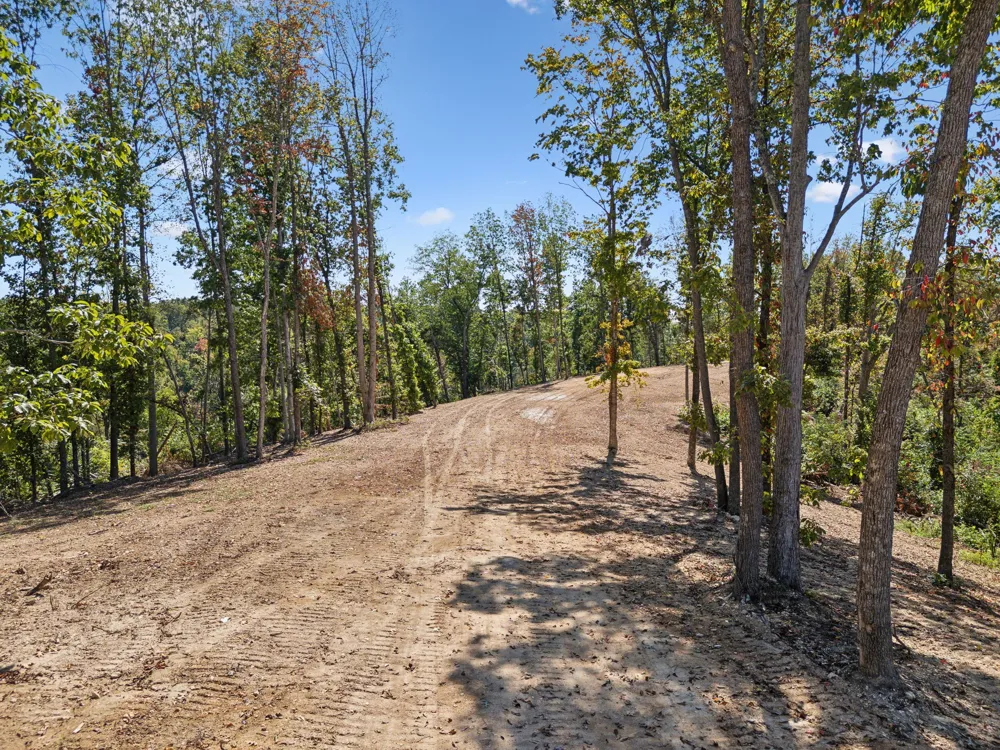 277 Davidson Chapel Ln Bloomington Springs, TN 38545