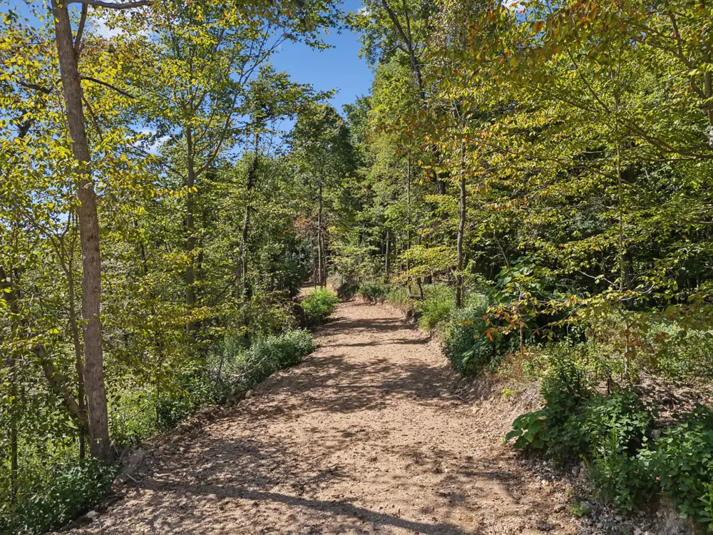 277 Davidson Chapel Ln Bloomington Springs, TN 38545