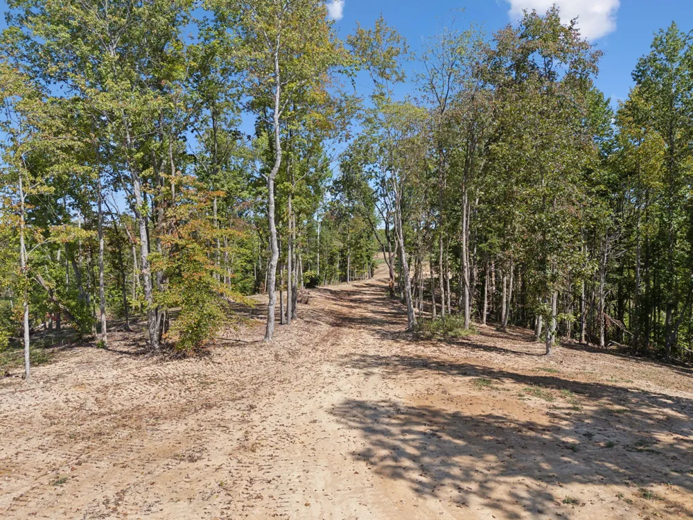 277 Davidson Chapel Ln Bloomington Springs, TN 38545