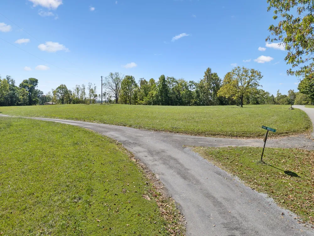 277 Davidson Chapel Ln Bloomington Springs, TN 38545