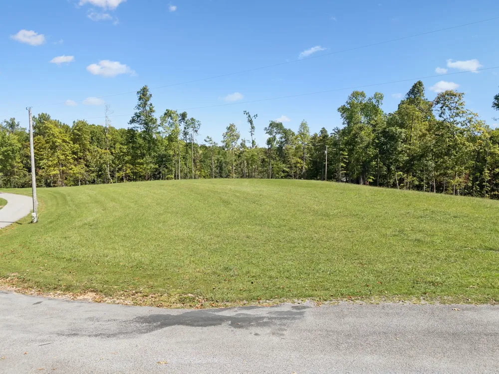 277 Davidson Chapel Ln Bloomington Springs, TN 38545