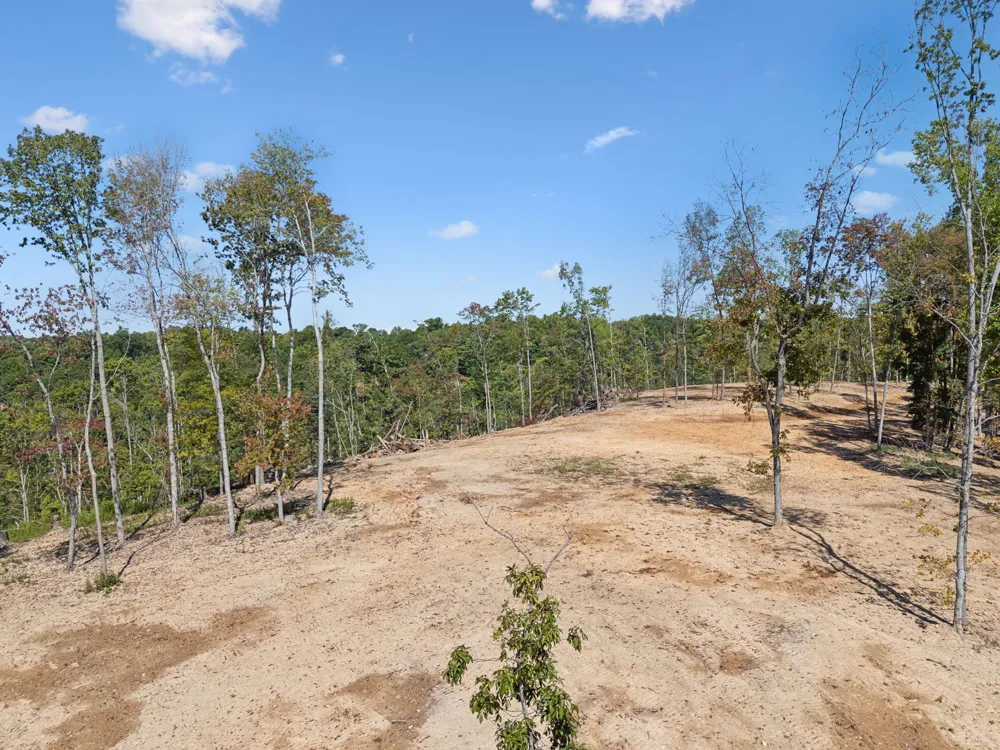 277 Davidson Chapel Ln Bloomington Springs, TN 38545