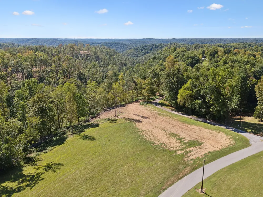 277 Davidson Chapel Ln Bloomington Springs, TN 38545