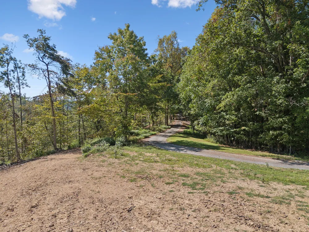 277 Davidson Chapel Ln Bloomington Springs, TN 38545