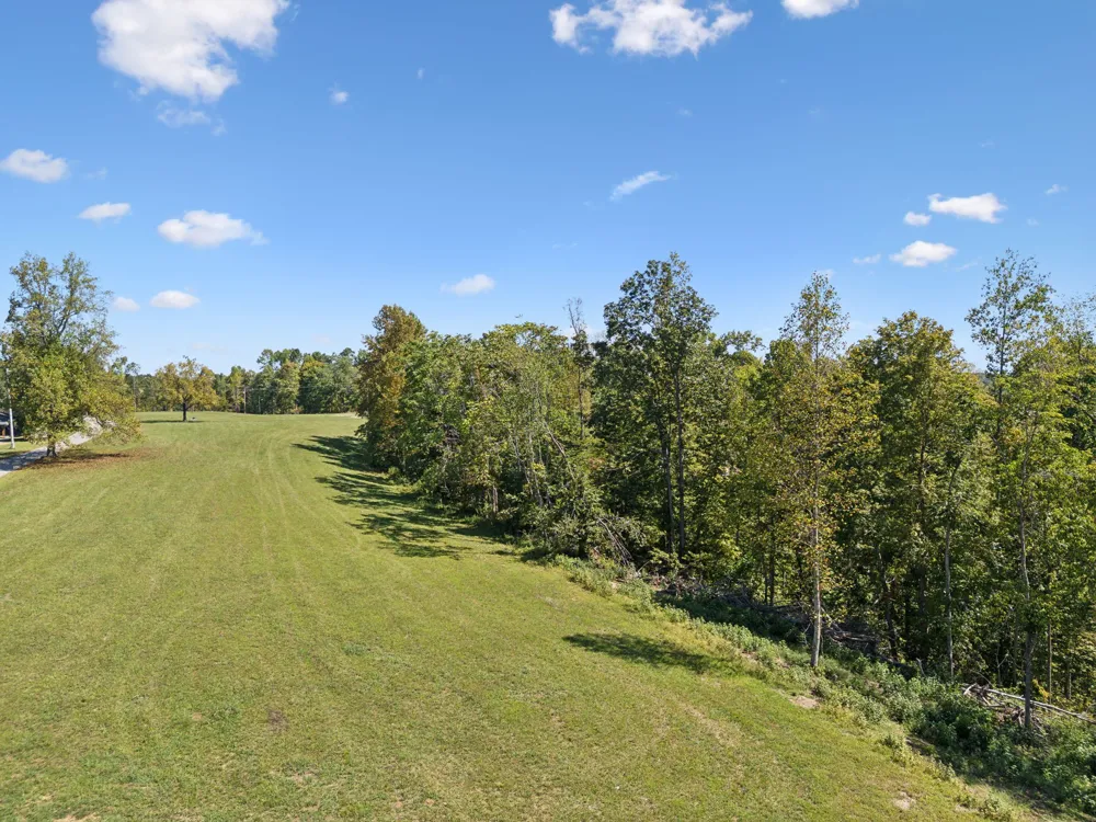 277 Davidson Chapel Ln Bloomington Springs, TN 38545