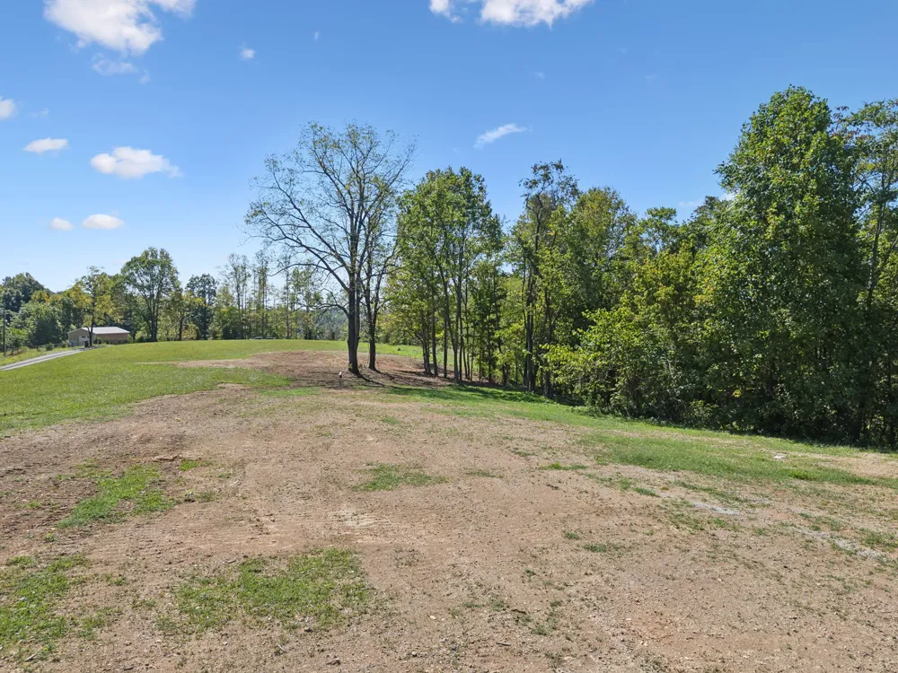 277 Davidson Chapel Ln Bloomington Springs, TN 38545