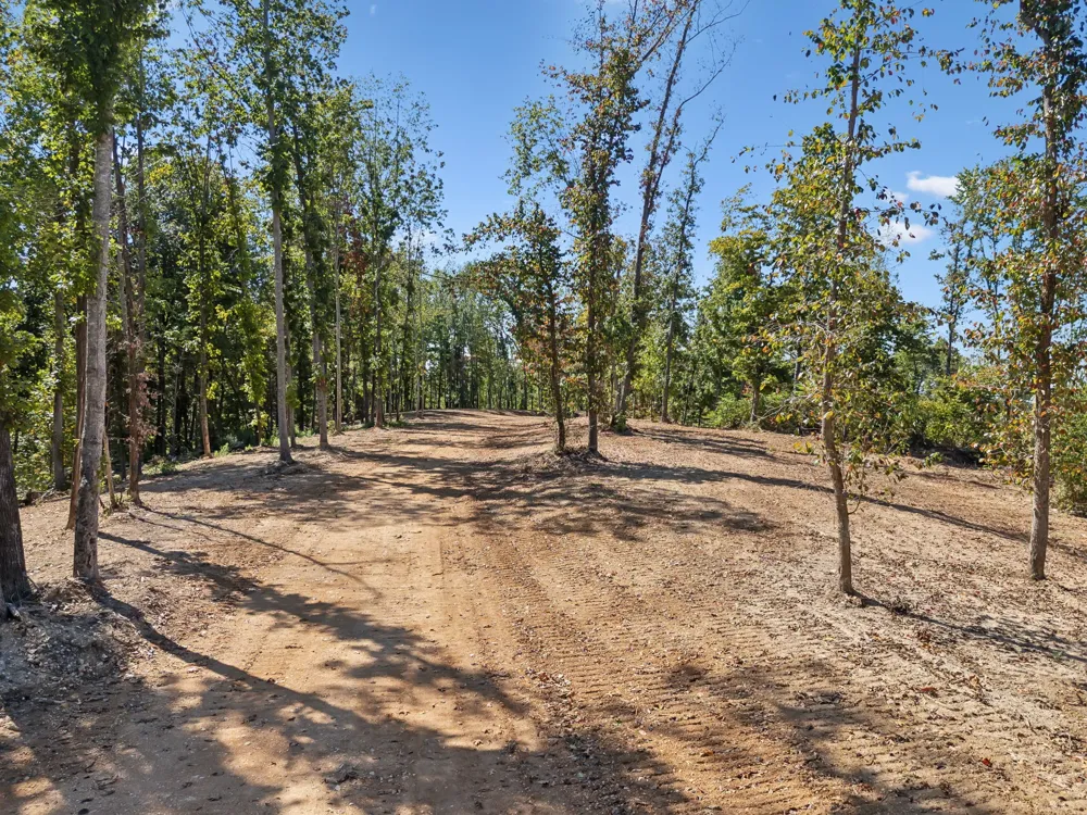 277 Davidson Chapel Ln Bloomington Springs, TN 38545