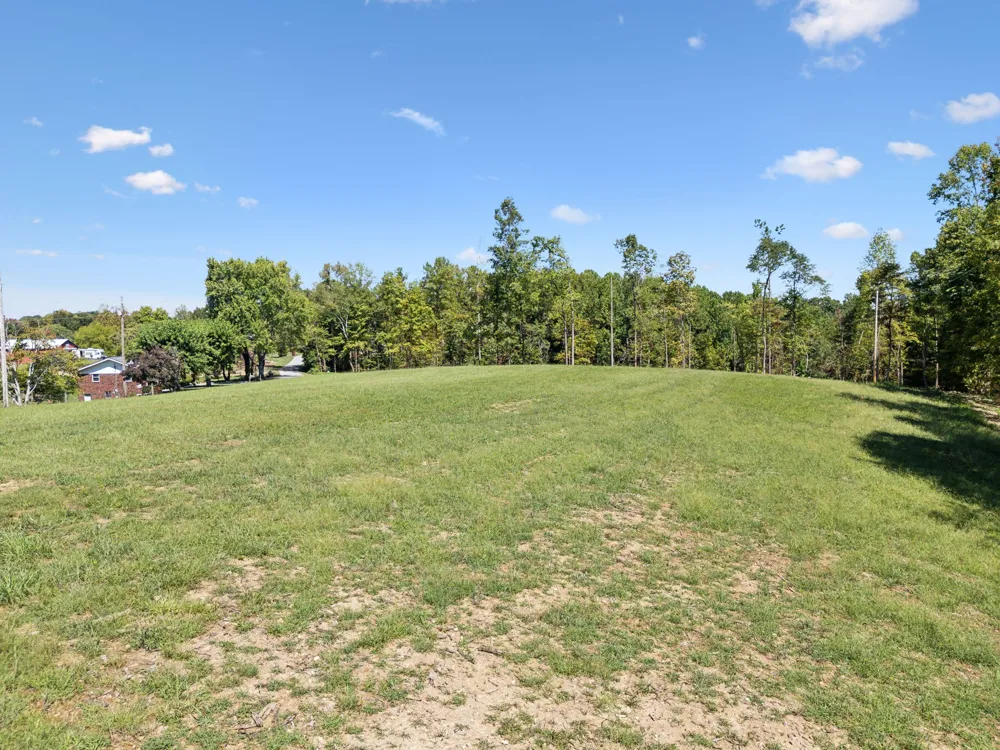 277 Davidson Chapel Ln Bloomington Springs, TN 38545