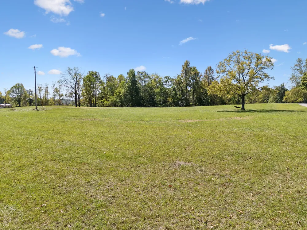 277 Davidson Chapel Ln Bloomington Springs, TN 38545
