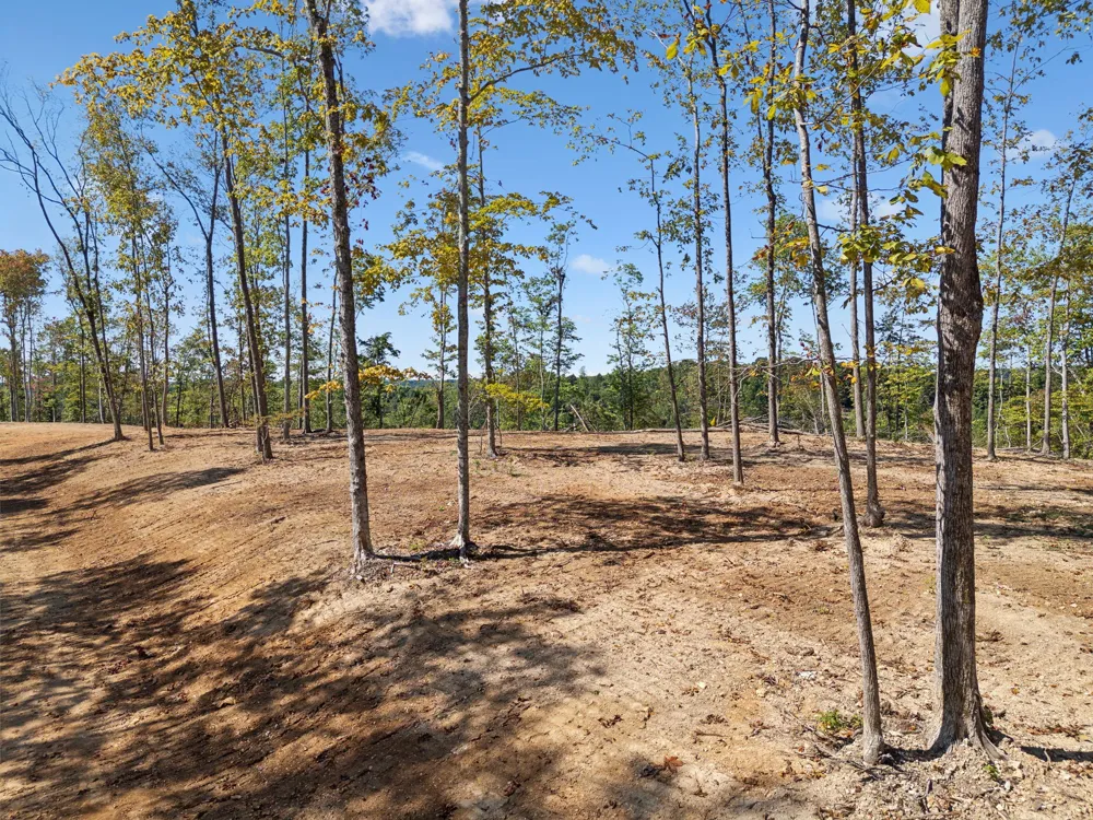 277 Davidson Chapel Ln Bloomington Springs, TN 38545