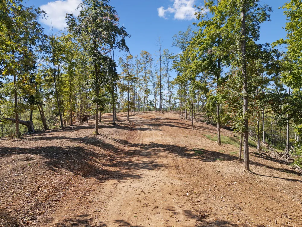 277 Davidson Chapel Ln Bloomington Springs, TN 38545