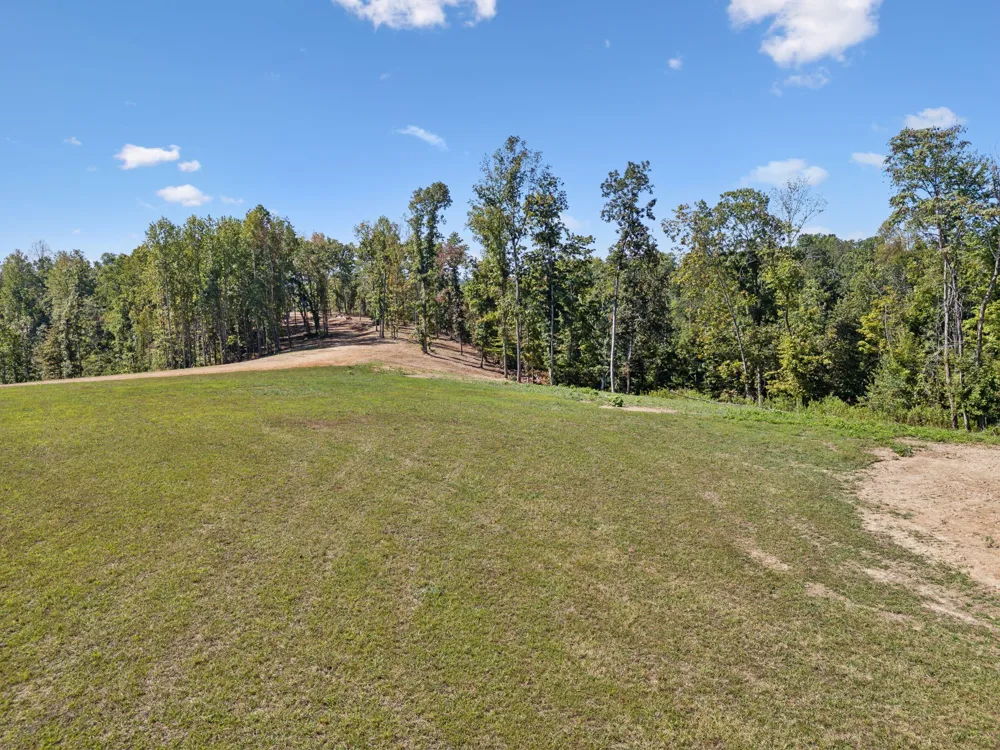 277 Davidson Chapel Ln Bloomington Springs, TN 38545