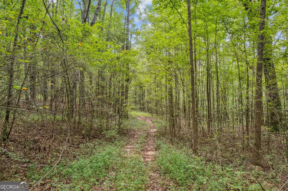 0 W Hwy 34 Newnan, GA 30263