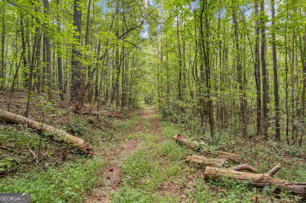 0 W Hwy 34 Newnan, GA 30263
