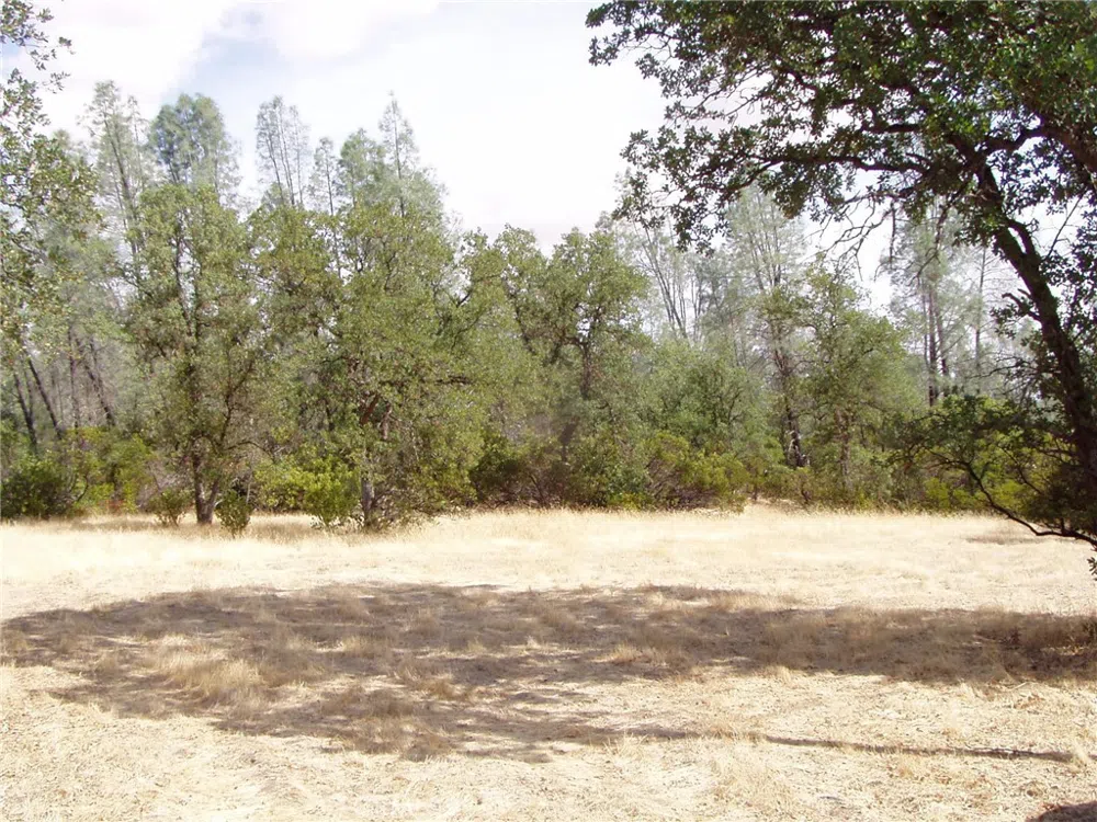 15838 El Dorado Drive Corning, CA 96021