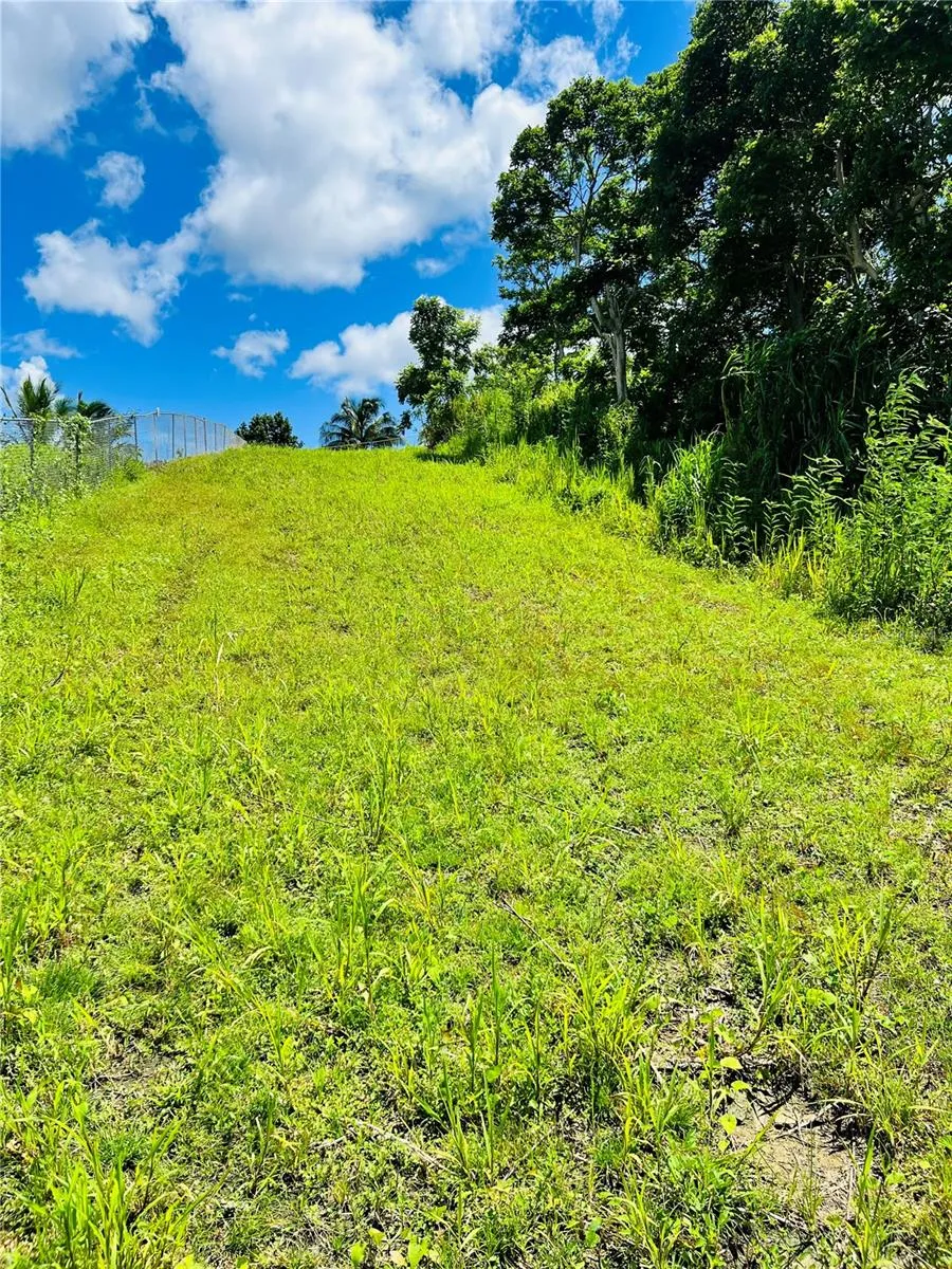 857 CARRETERA Carolina, PR 00987