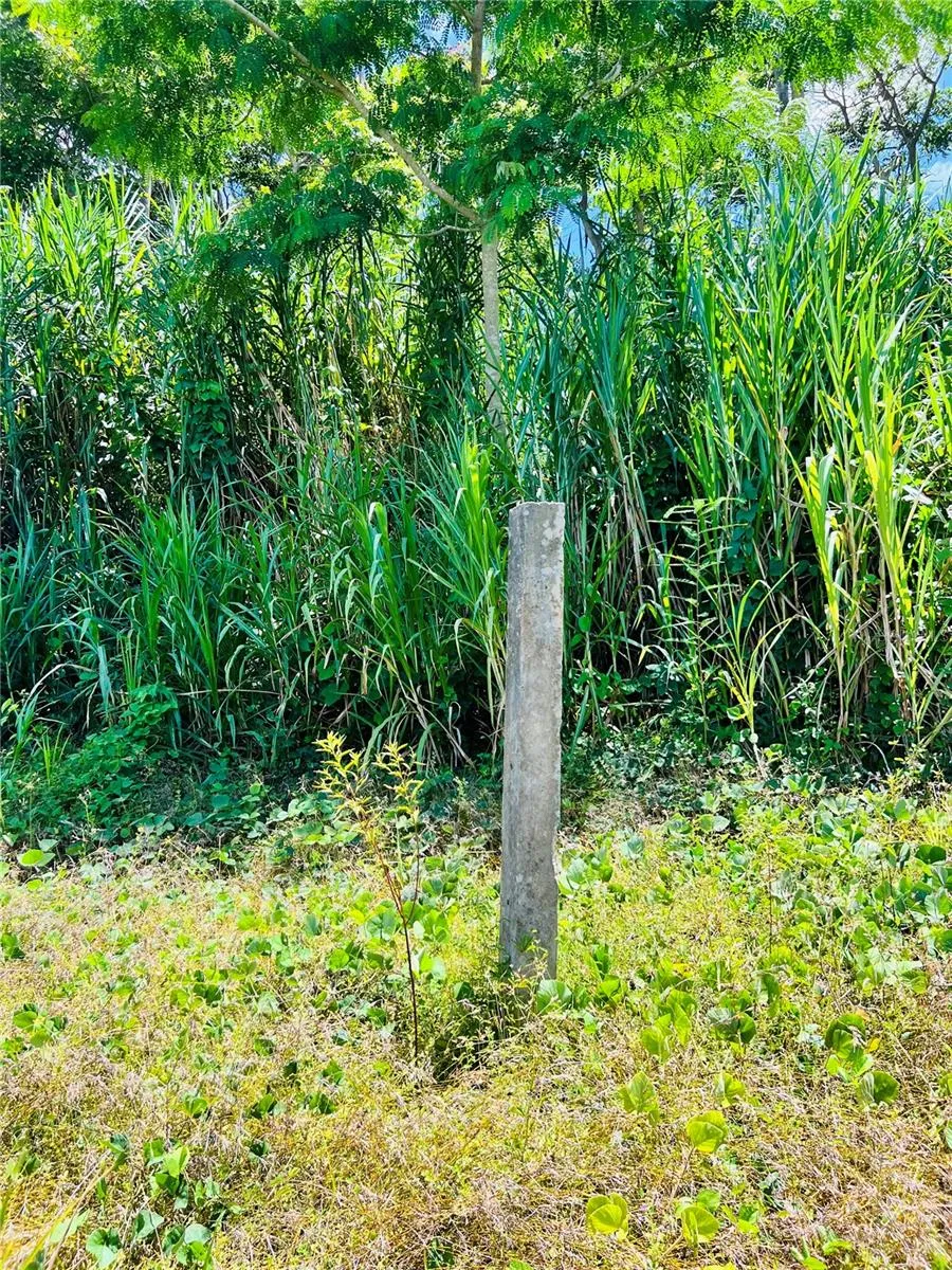 857 CARRETERA Carolina, PR 00987