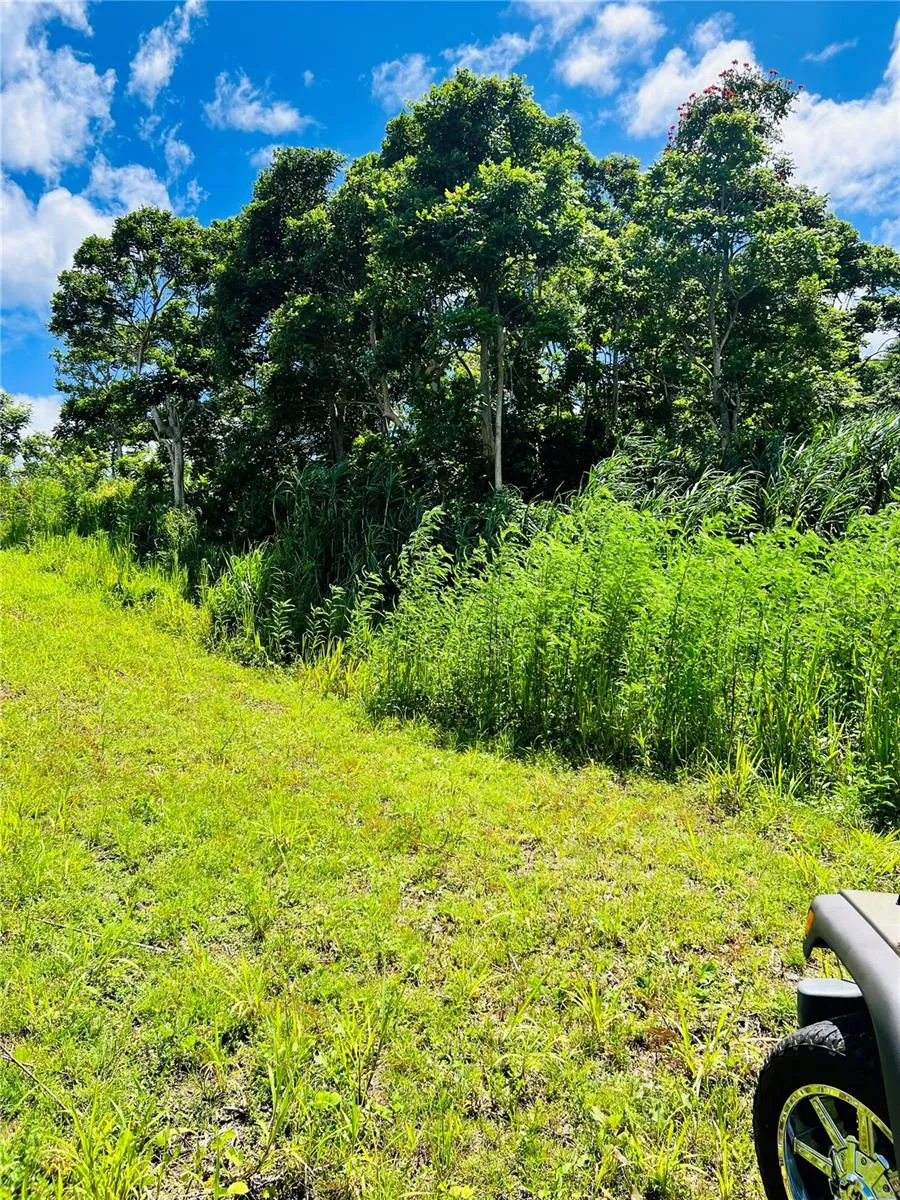 857 CARRETERA Carolina, PR 00987