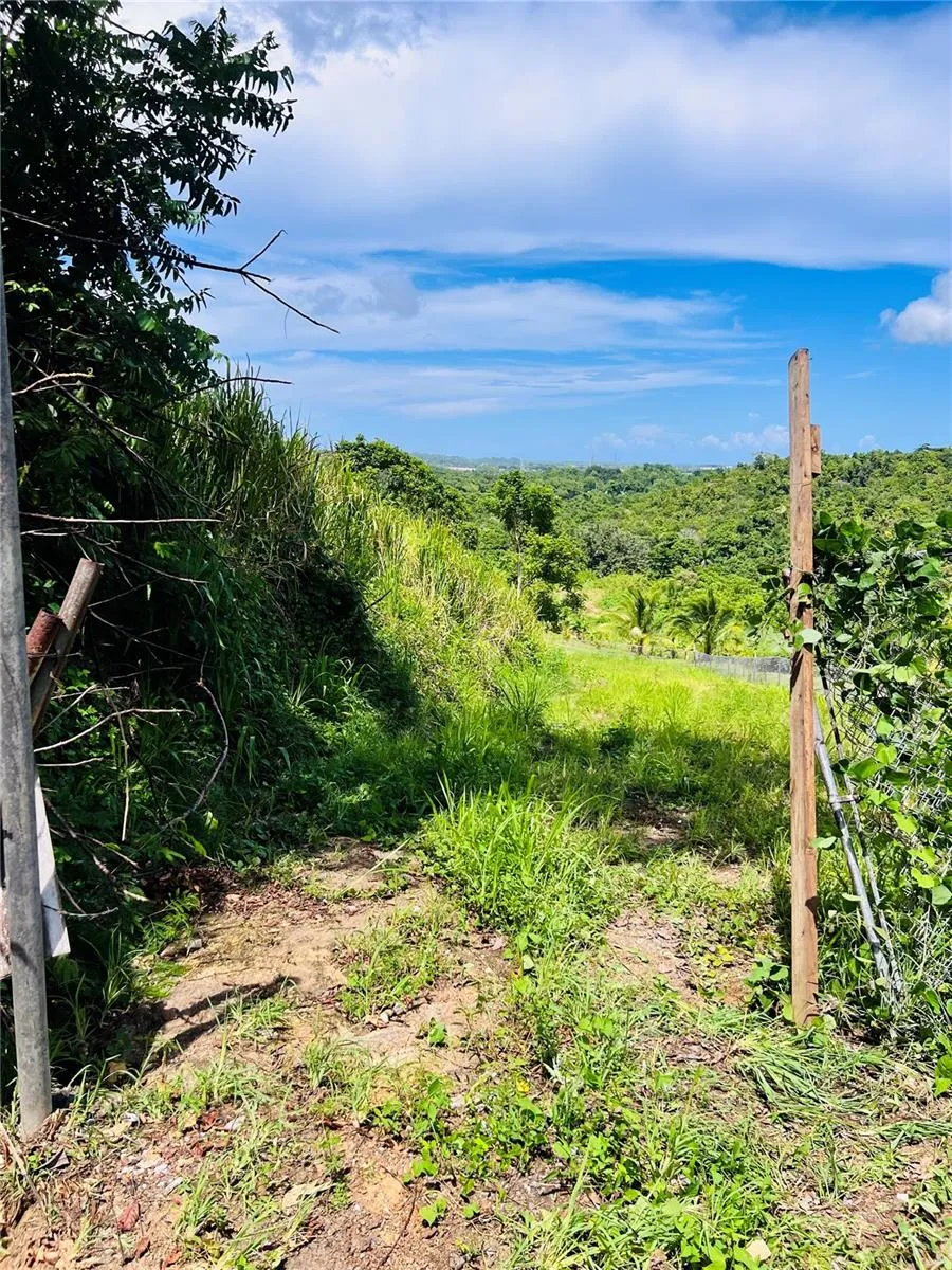 857 CARRETERA Carolina, PR 00987
