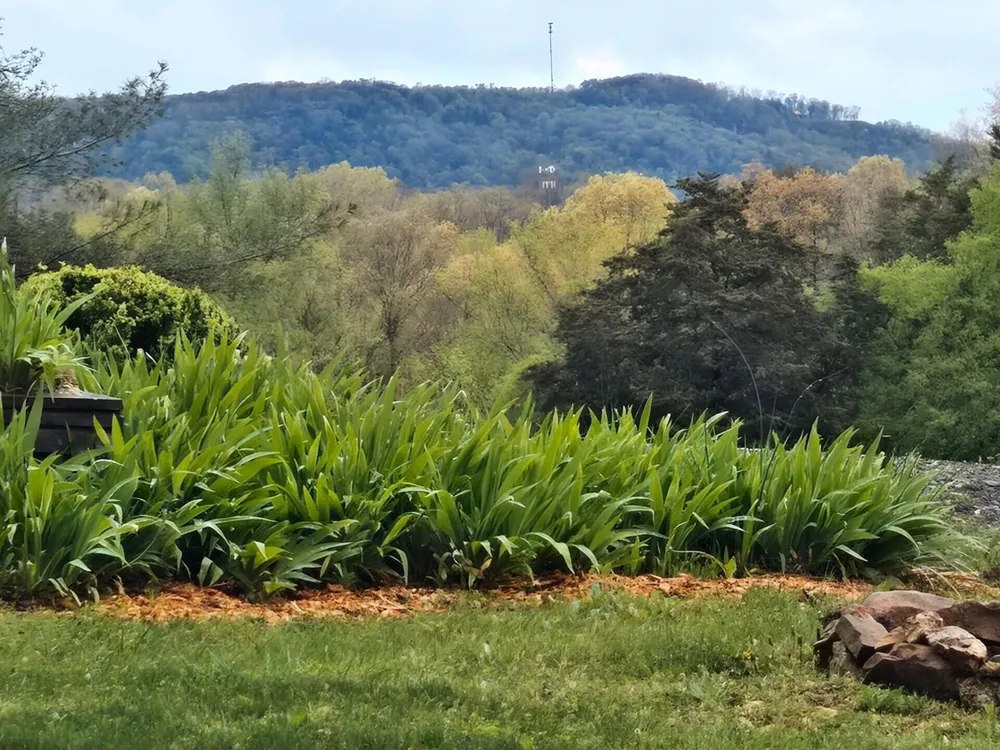 919 John Burch Road Dunlap, TN 37327