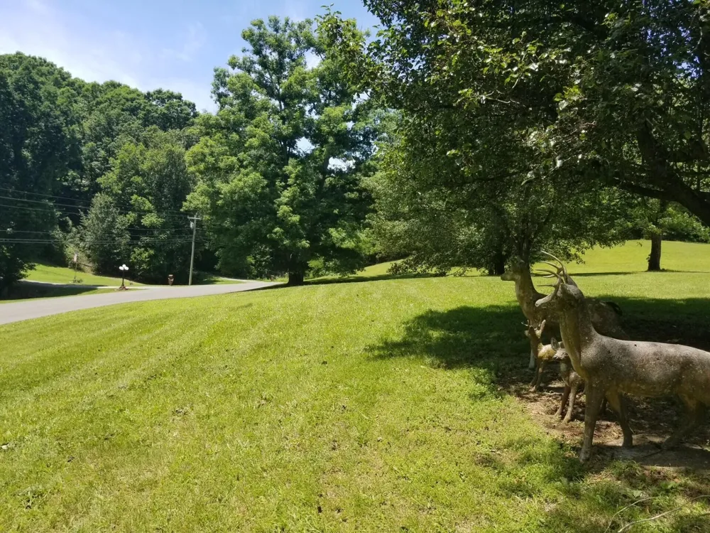 919 John Burch Road Dunlap, TN 37327