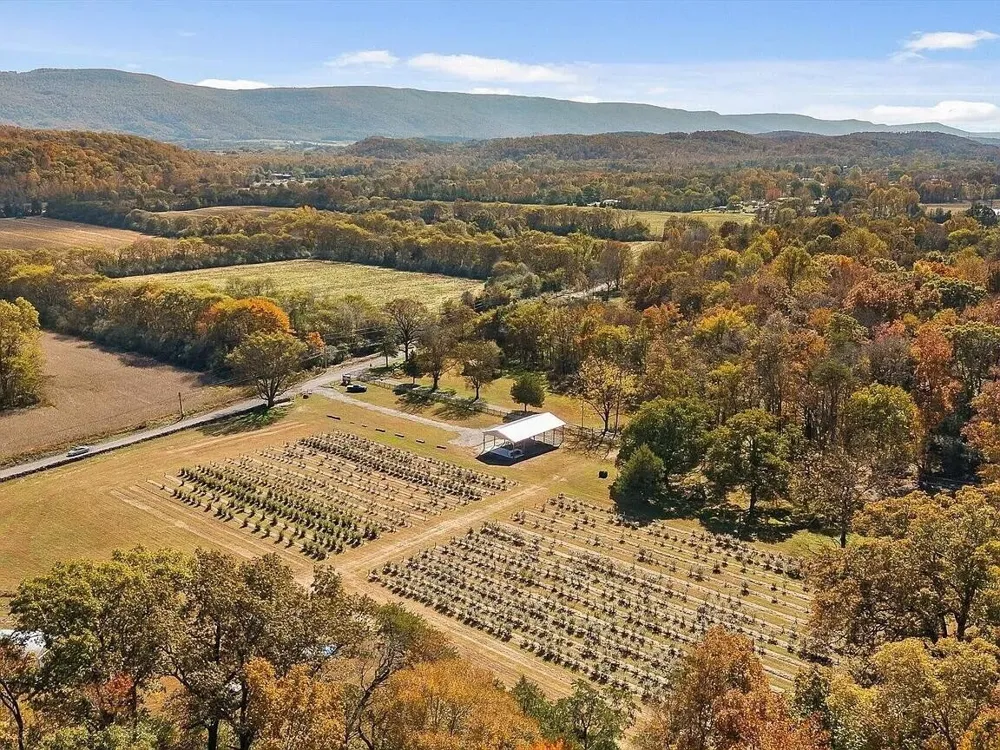 919 John Burch Road Dunlap, TN 37327