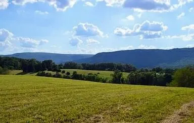 0 John Burch Road Dunlap, TN 37327